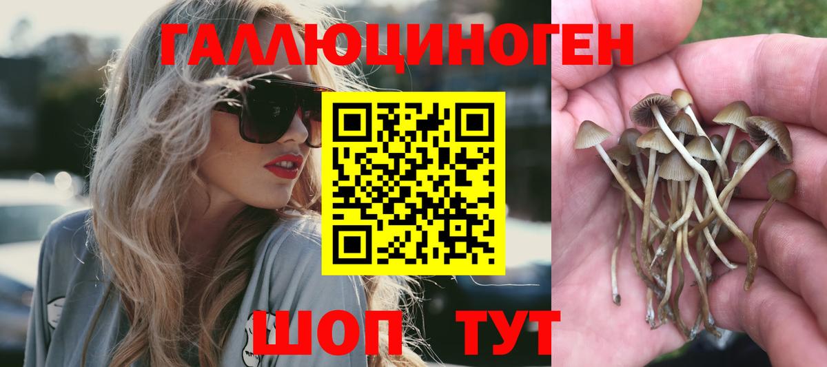 Галлюциногенные грибы мицелий Дальнереченск