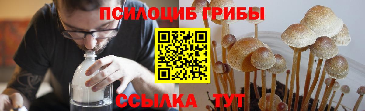 Галлюциногенные грибы мухоморы  Галлюциногенные грибы ЛСД  Дальнереченск  Вход с VPN 